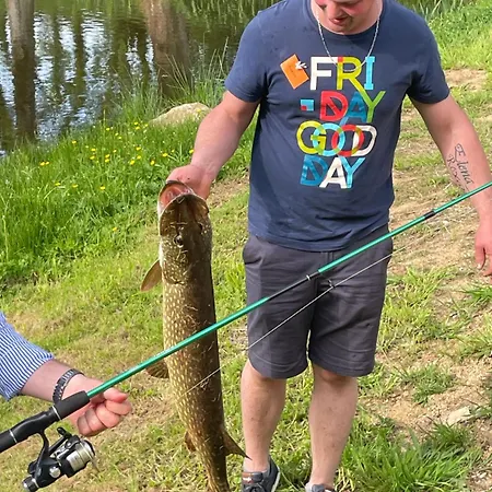 Βίλα Chateau De La Cour De Coulonces