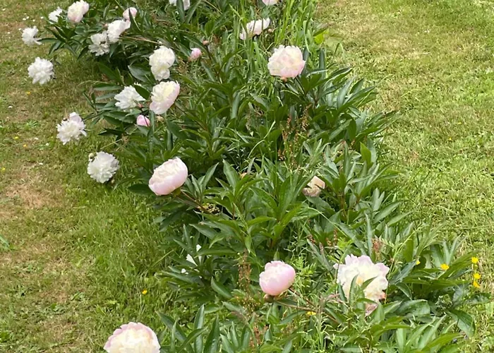 Βίλα Chateau De La Cour De Coulonces Saint-Martin-de-Tallevende