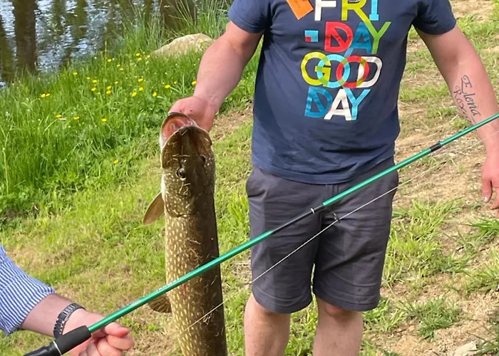 Βίλα Chateau De La Cour De Coulonces